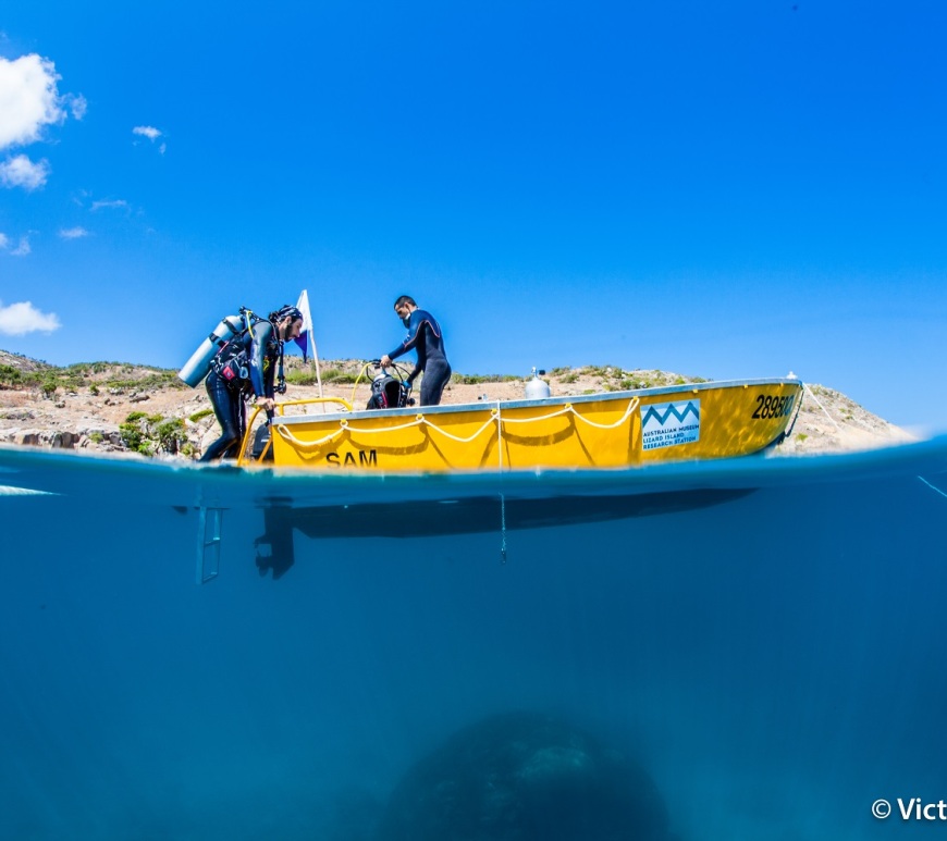 Field work for this study was done at Lizard Island, on the Great Barrier Reef, Australia, where the authors were lucky to have access to great infrastructure and exceptional autonomy. Photo by Victor Huertas.